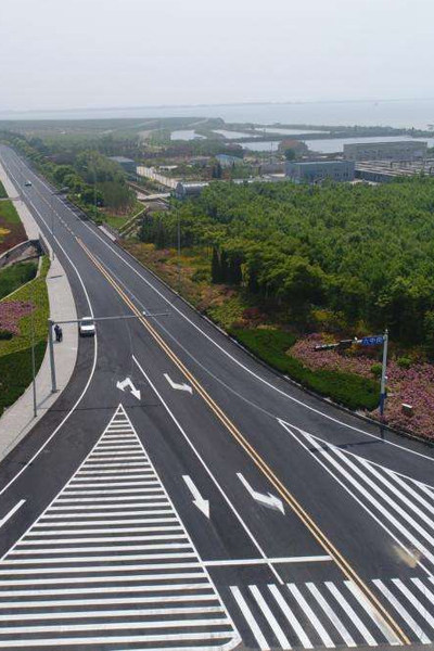 武汉新区凤凰湖环湖路道路排水工程结构及桩基础